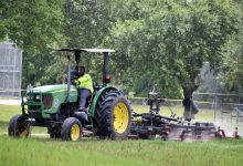 agricultural-innovation:-how-blockchain-creates-accountability-in-the-food-industry