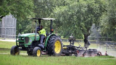 agricultural-innovation:-how-blockchain-creates-accountability-in-the-food-industry