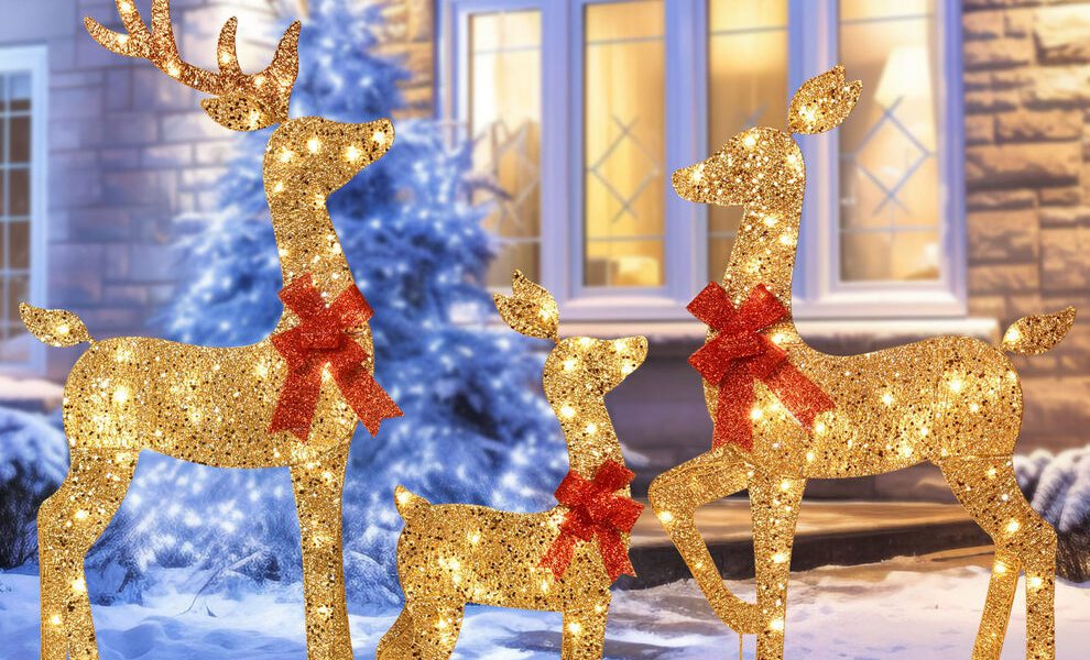 the-magic-of-christmas-lights-and-reindeer:-a-celebration-of-warmth,-wonder,-and-family