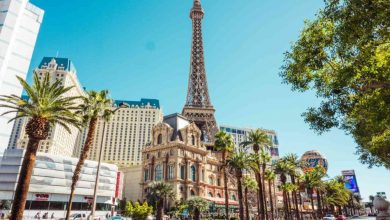 wow-las-vegas-review:-why-everyone-is-talking-about-this-must-see-show-at-the-rio